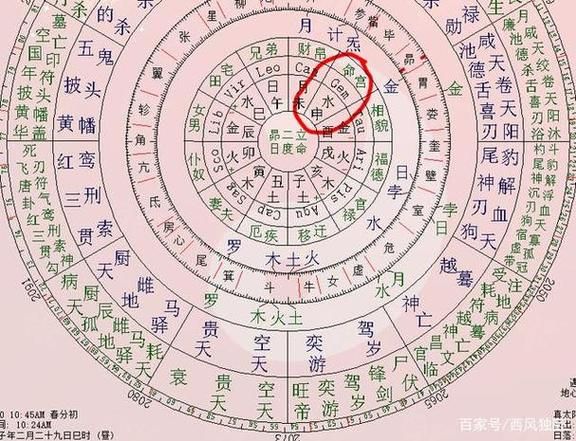 紫微斗数看属相运势_紫微斗数属相配对准吗