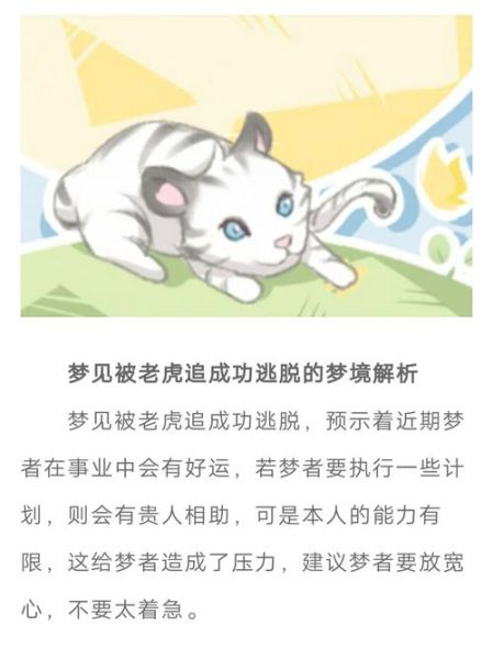 梦到被老虎追是什么意思_梦见老虎追我躲藏解析