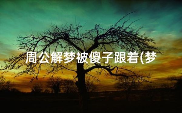梦到被傻子追是什么意思_如何化解
