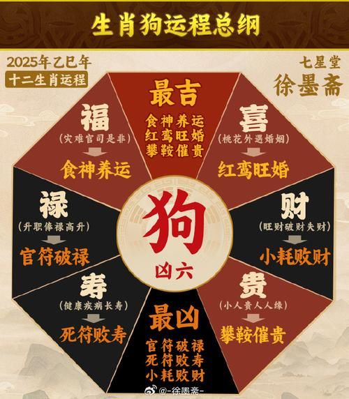 狗年横财运如何提升_狗年横财最旺的生肖