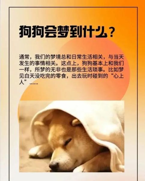 梦到狗笑是什么意思_狗笑梦境预示什么