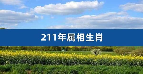 211年属什么生肖_211年出生的人命运如何