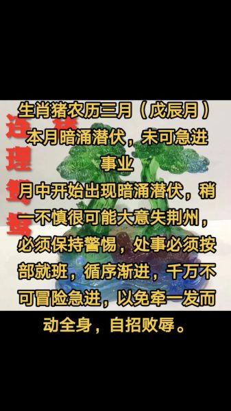 生肖猪农历7月运势如何_属猪人七月财运好吗