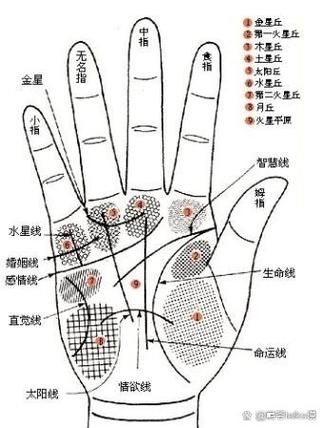 健康线和财运线区别_哪条决定命运
