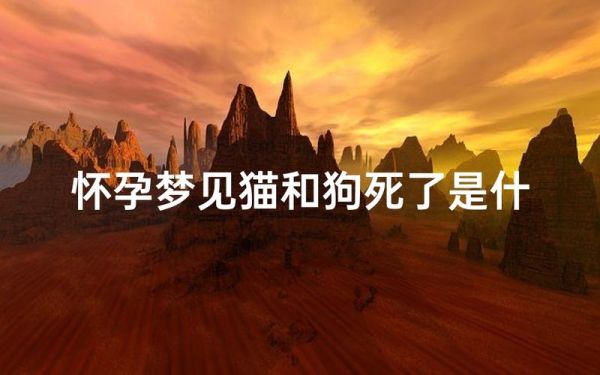 梦到猫狗是什么意思_梦到猫狗一起出现