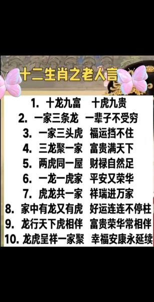爸爸属龙属虎哪个好_龙虎爸爸性格差异