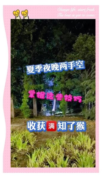 梦到捉知了猴是什么意思_梦见捉知了猴预示什么