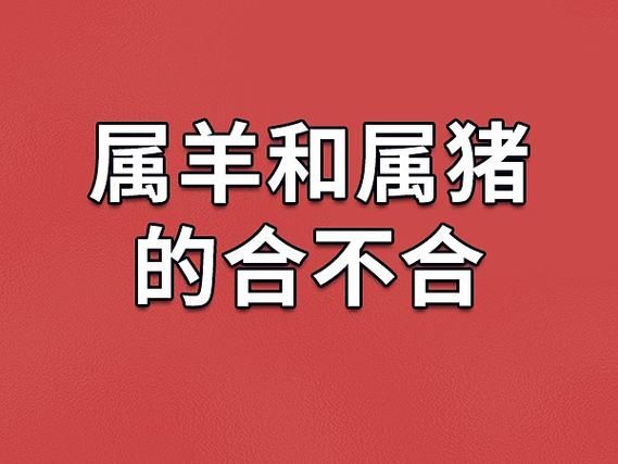 属羊和属猪合不合_羊猪配对优缺点