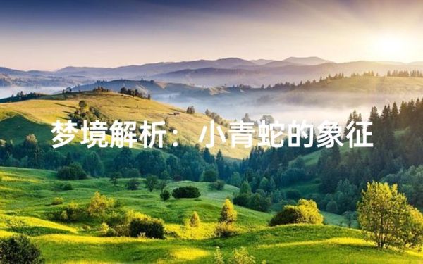 梦到两条小青蛇是什么意思_小青蛇梦境解析