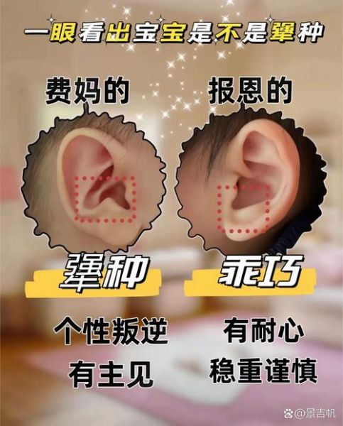 耳朵的属相怎么看_耳朵形状与命运的关系