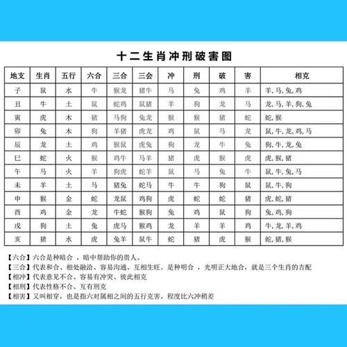 龙不和属相_龙与哪些属相相冲相克