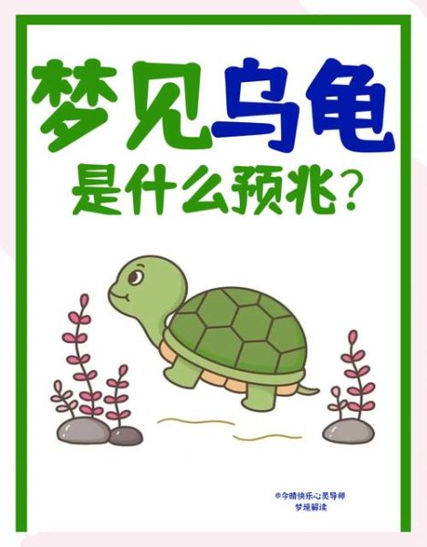 梦到超大乌龟_预示着什么