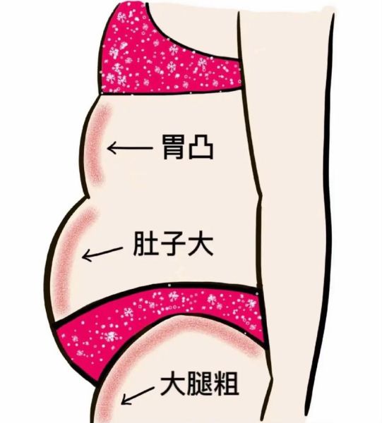 肚皮大的人财运好吗_为什么肚子圆润象征富贵