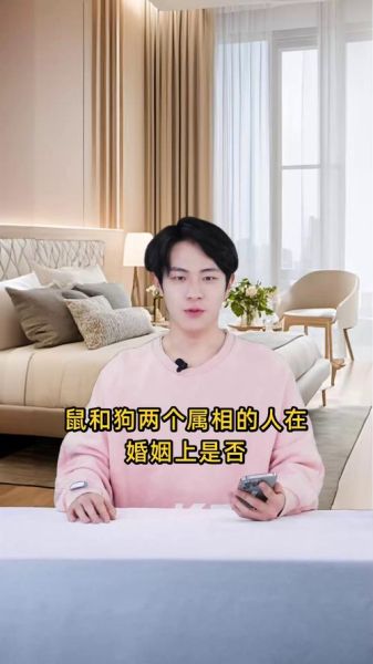 老鼠和狗属相合不合_婚姻配对怎么样