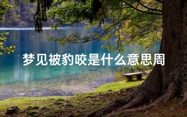 梦见被豹子咬_财运暗示什么