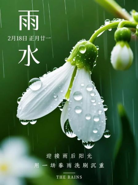 雨水节气运势如何_雨水后财运会变好吗
