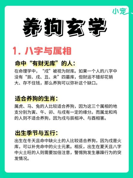 属龙和属狗财运不合怎么办_如何化解相冲