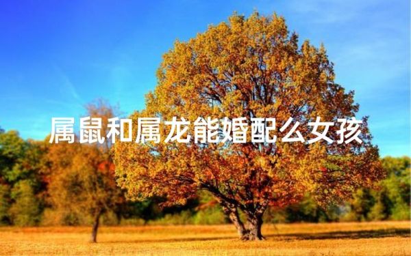 属龙和属鼠的婚配好吗_属龙属鼠婚姻合不合