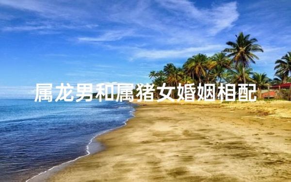 男龙女猪属相配吗_属龙男与属猪女婚姻如何