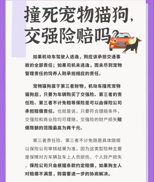 梦到开车撞死狗_周公解梦准吗