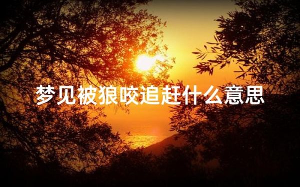 梦到躲着狼是什么意思_如何化解梦中被狼追的焦虑