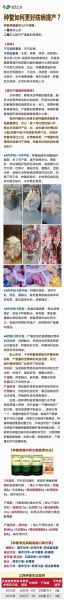 梦到鳖死了_是什么预兆