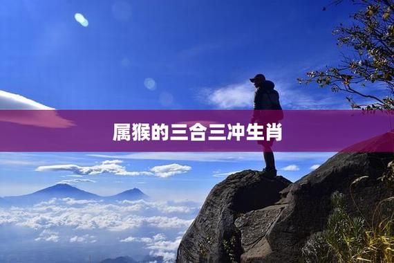 属猴的和什么属相不合_属猴的与哪些生肖相冲