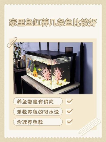 属相养鱼有什么讲究_不同生肖适合养几条鱼