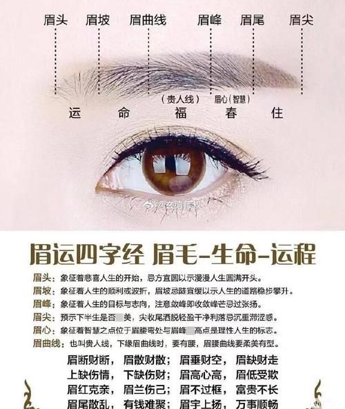 财运眉毛图片_好运眉毛怎么画