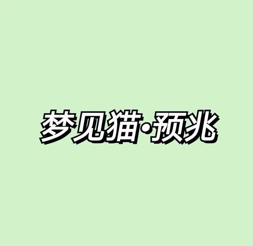 梦到猫在水里_什么预兆