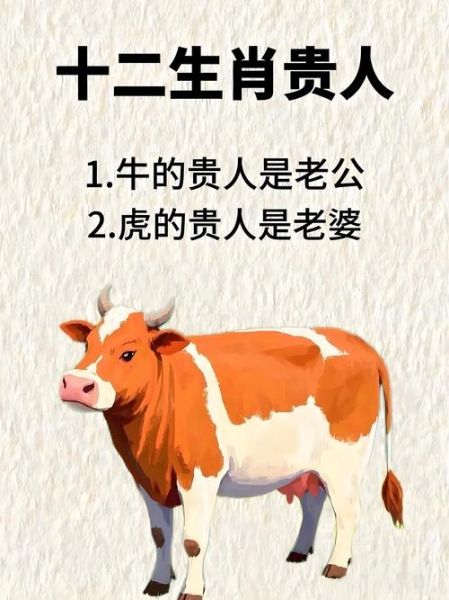 属牛鼠年财运如何_属牛鼠年怎么提升财运