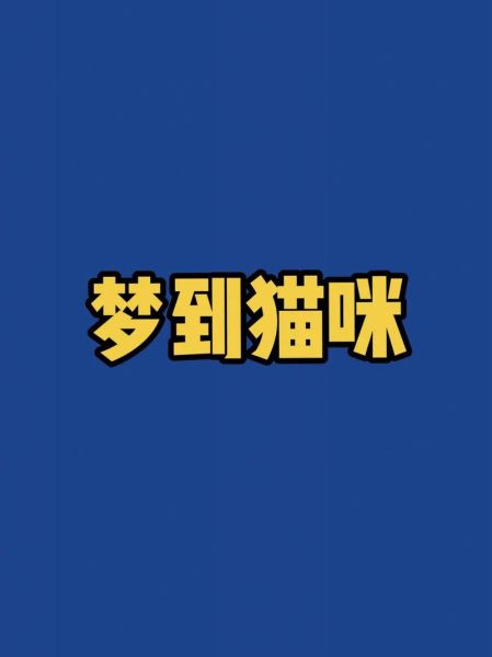 梦到可爱的小猫是什么意思_如何解读梦境