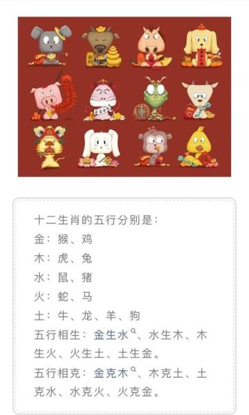 虎后边属相是什么_属兔性格特点