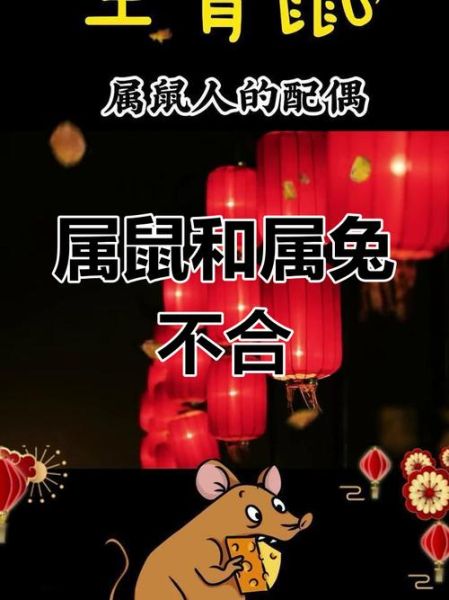 兔和鼠婚姻属相配对_兔鼠婚配好不好