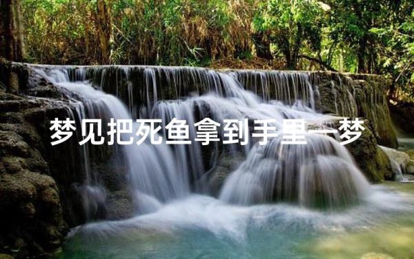 梦到鱼都死了是什么意思_梦见死鱼预示什么