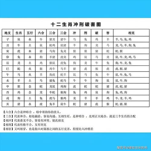 龙狗属相合吗_龙狗婚姻能长久吗