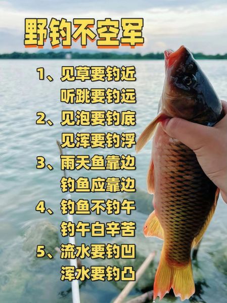 钓鱼伤财运是真的吗_如何避免破财