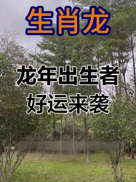 属龙贵人有哪些_如何提升贵人运