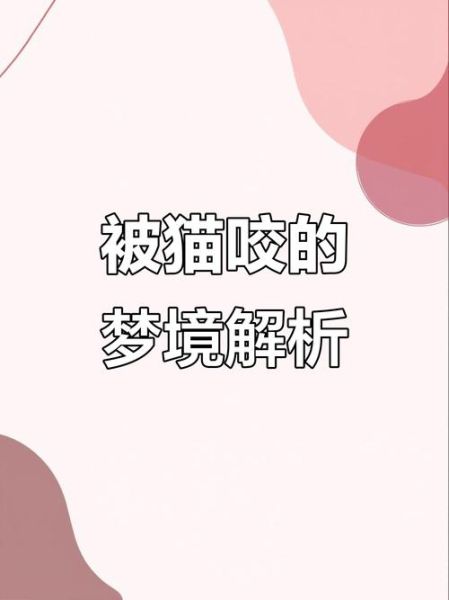 梦到被猫咬住不放_梦见猫咬手不松口什么意思
