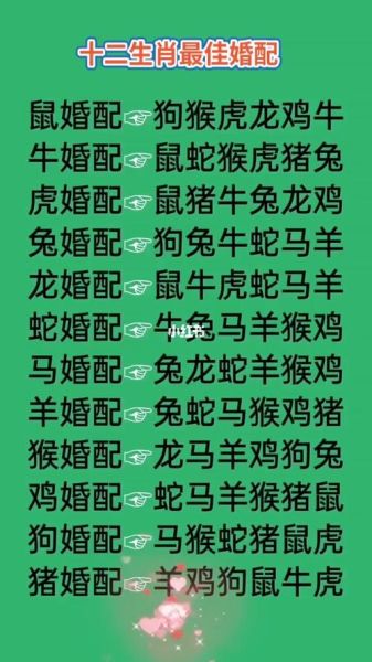属相缘分_哪些生肖最配