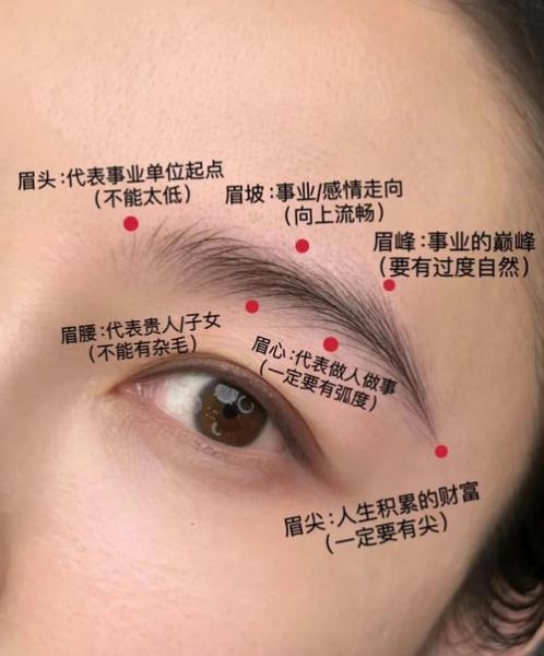 眉毛走财运线是真的吗_如何看眉形判断财富运势