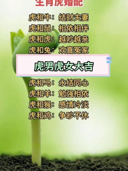 男双属相婚配好不好_属龙男和属虎男合不合