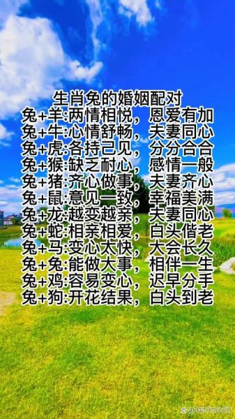男兔的最佳婚配属相_男兔和什么属相最配
