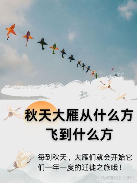 梦到大雁飞是什么意思_大雁飞梦境解析