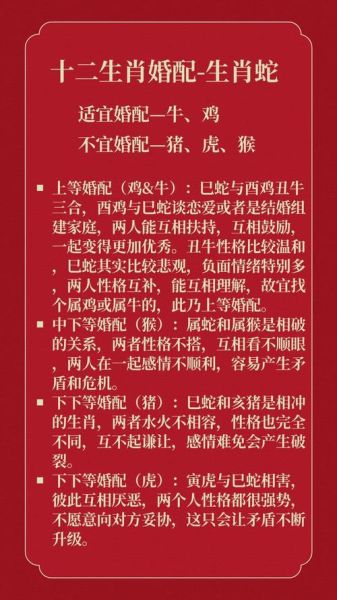 属猪和属蛇的婚配好吗_属猪男和属蛇女能过一辈子吗