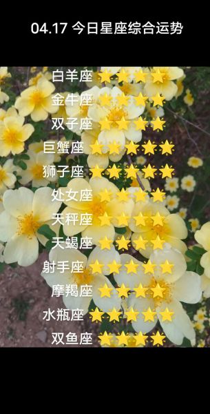 今日星座运势准吗_手机搜狐星座每日运势怎么看