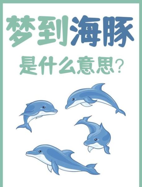 梦到白海豚是什么意思_白海豚梦境解析