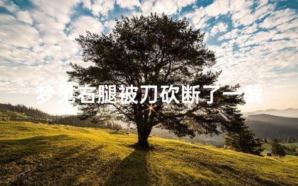 梦到自己捅了自己一刀_梦见自己捅自己预示什么