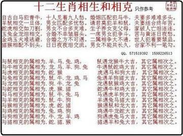 属狗男和属龙女相配吗_龙女狗男婚姻如何