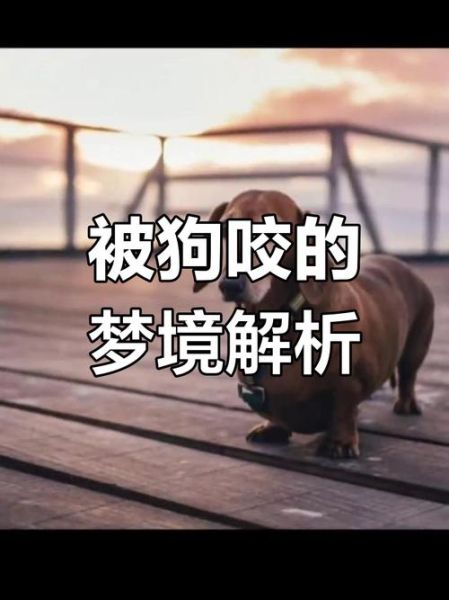 梦到狗血是什么意思_梦见狗血预示什么